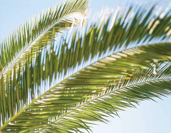 blue-mountain-co-gutter-mesh-matcher-for-leaf-size